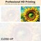 Sunflower Paint by Numbers for Adults Retro Abstraction Flower Adults' Paint-by-Number Kits, Paint by Number Kits On Canvas with Brushes and Pigment, 16x20 Inch